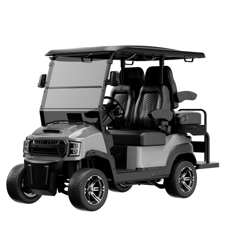 Custom Drive Rover Models - Village Discount Golf Car